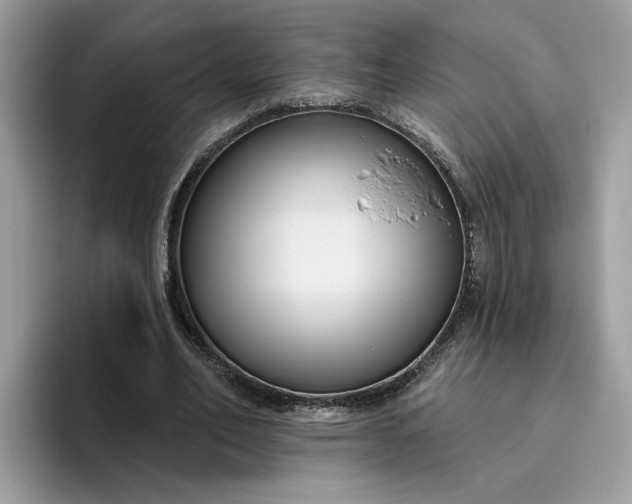 X0000095960582200801251152