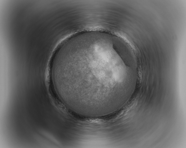 X0000095960583200801251152