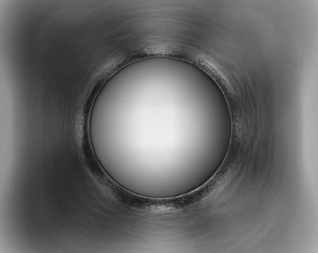 X0000095960586200801251152