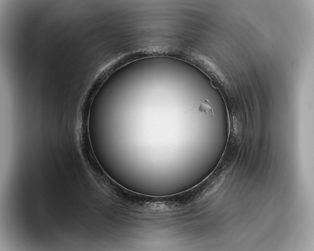 X0000095960588200801251152