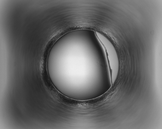 X0000095960591200801251152