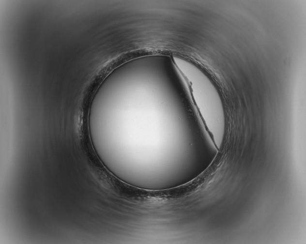 X0000095960592200801251152