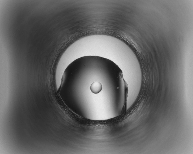 X0000095960593200801251152