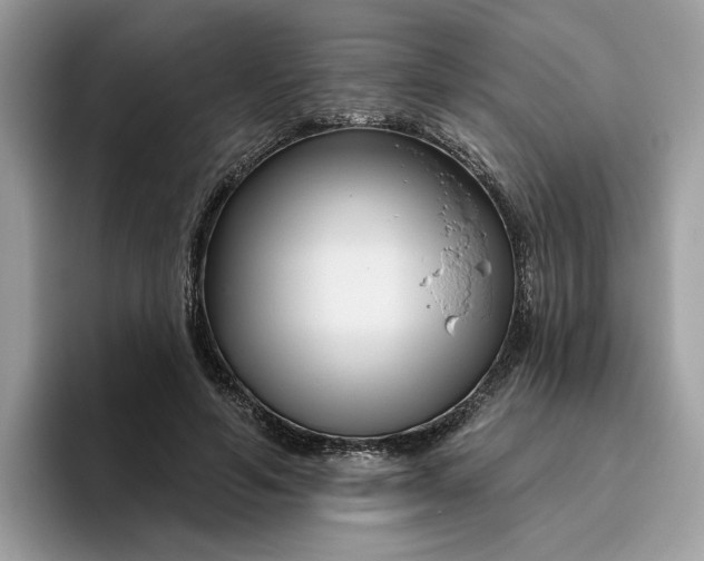 X0000095960594200801251151