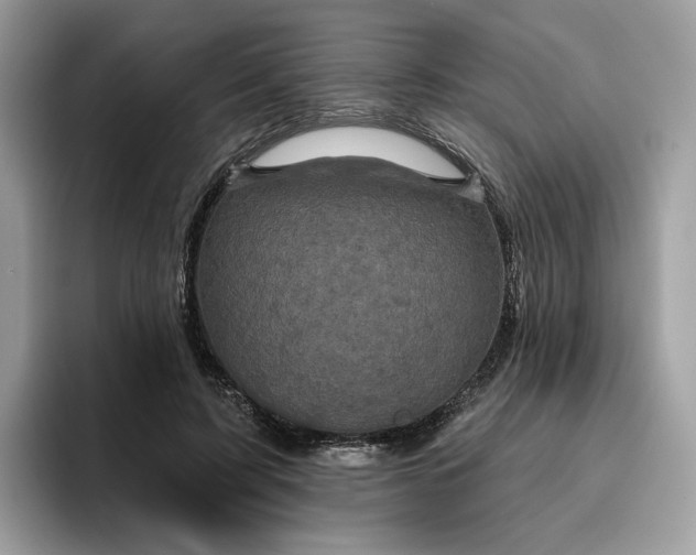 X0000095960595200801251151