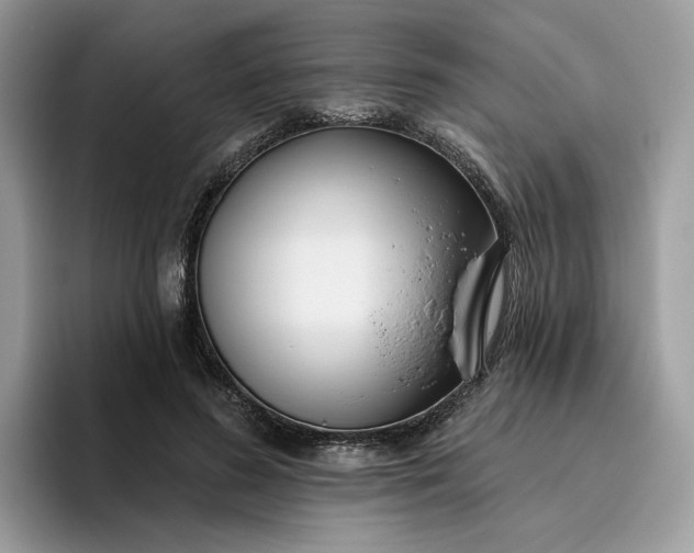 X0000095960596200801251151