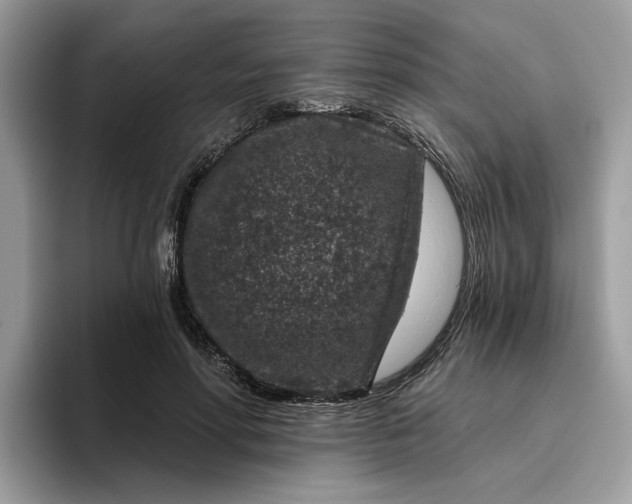 X0000095960598200801251151