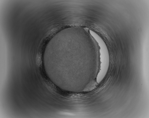 X0000095960599200801251151