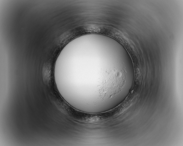 X0000095960600200801251151