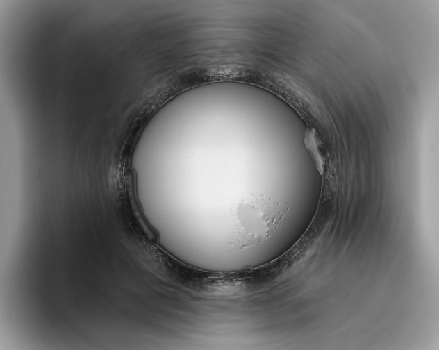 X0000095960601200801251151