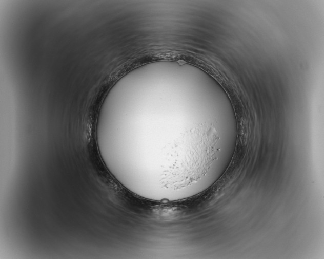 X0000095960602200801251151