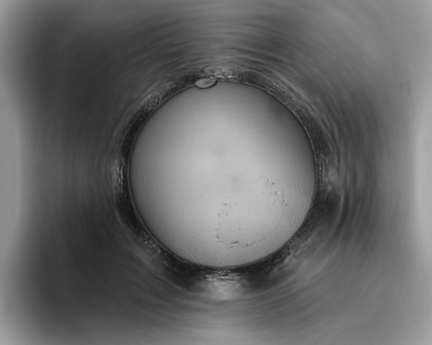 X0000095960603200801251151