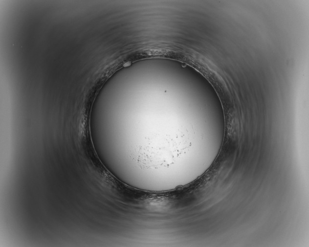 X0000095960604200801251151