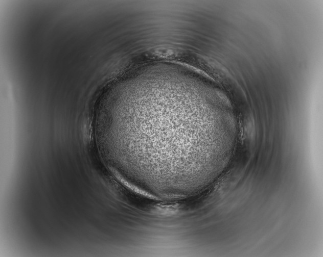 X0000095960606200801251151