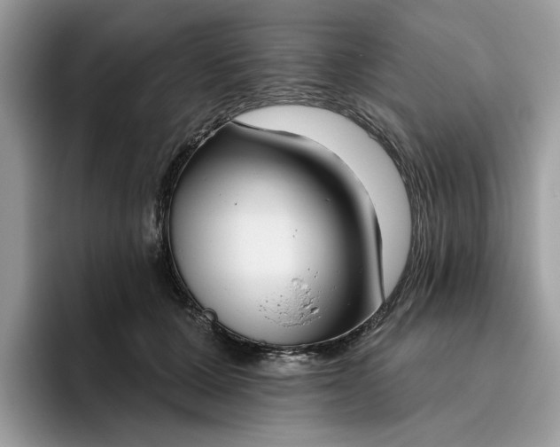 X0000095960607200801251151