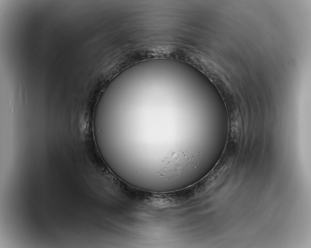 X0000095960608200801251151