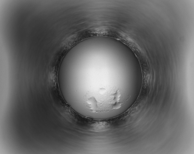 X0000095960609200801251151