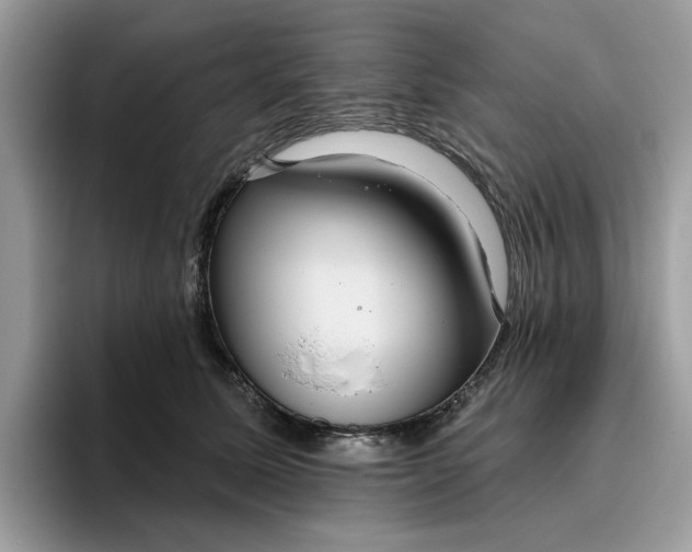 X0000095960611200801251151