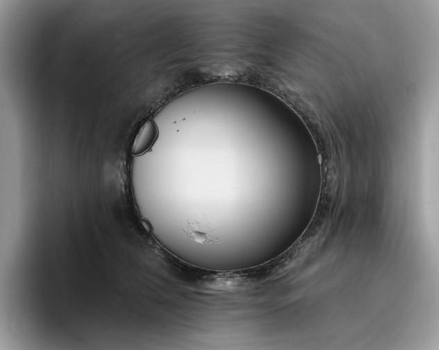 X0000095960612200801251151