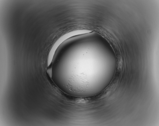 X0000095960616200801251151