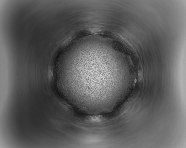 X0000095960618200801251151