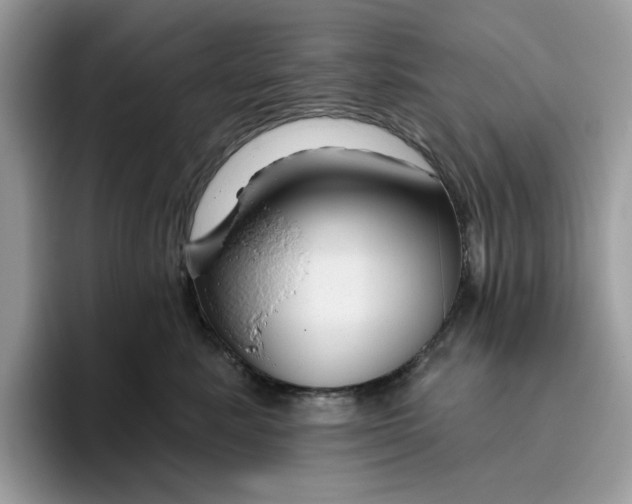 X0000095960619200801251151