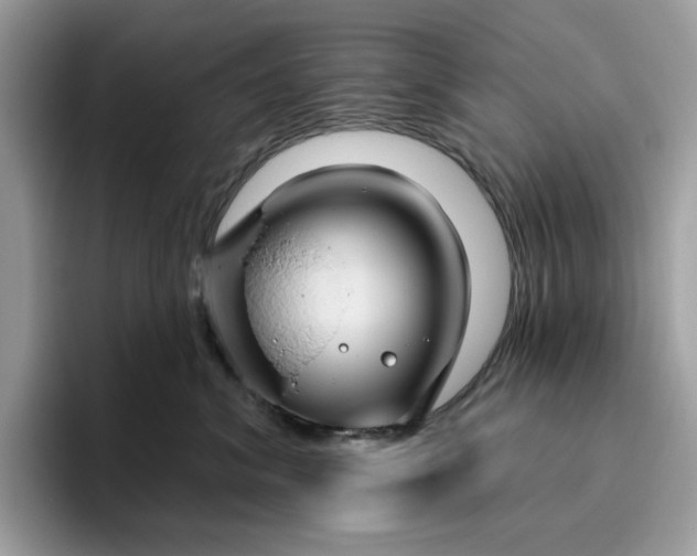 X0000095960620200801251151