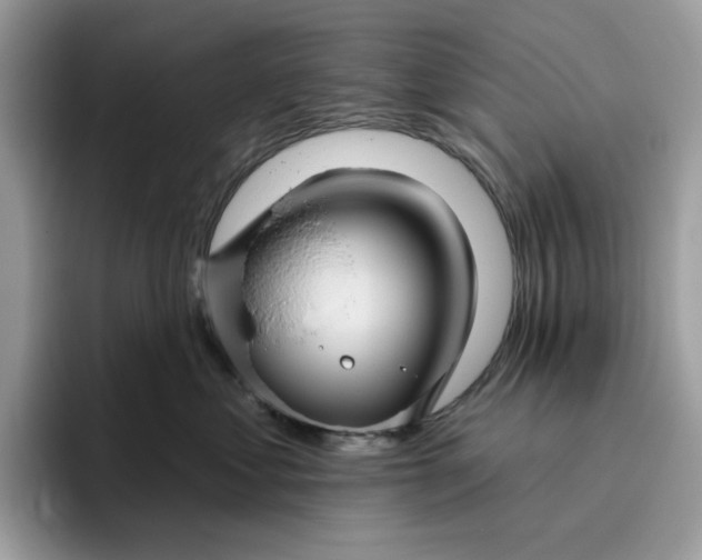 X0000095960621200801251151