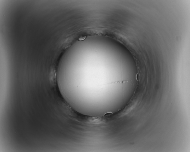 X0000095960624200801251151