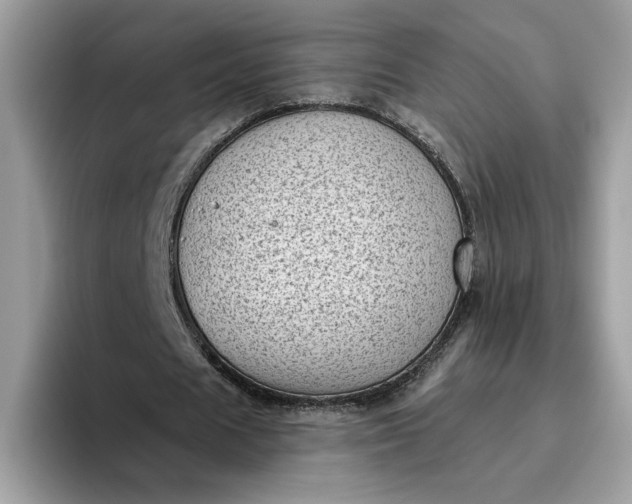 X0000095960625200801251150