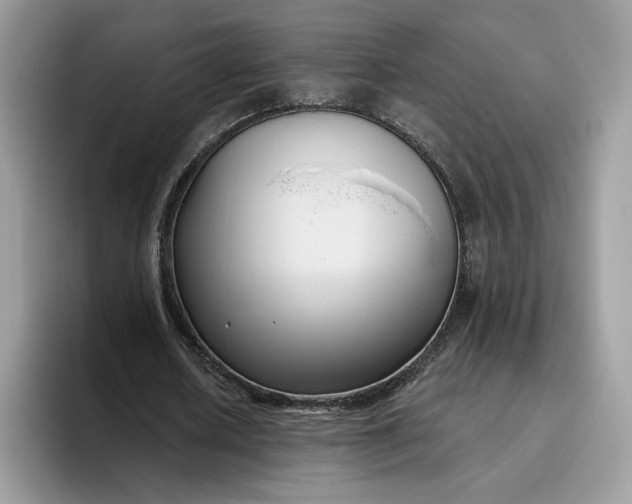 X0000095960626200801251150