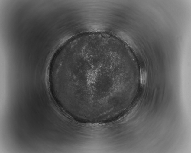 X0000095960627200801251151