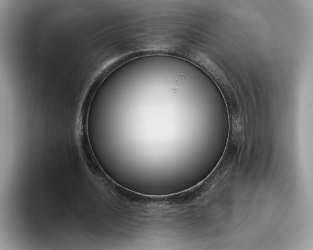 X0000095960628200801251151