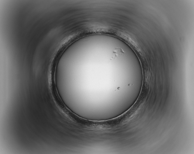 X0000095960629200801251151