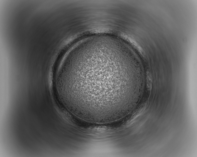 X0000095960631200801251151