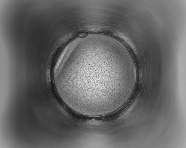 X0000095960633200801251151