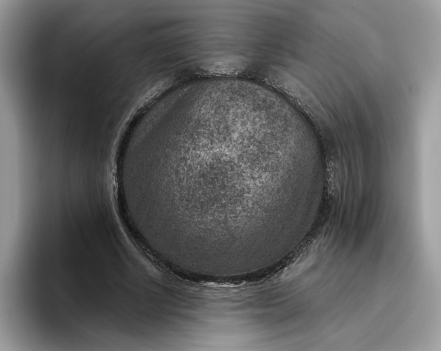 X0000095960634200801251151