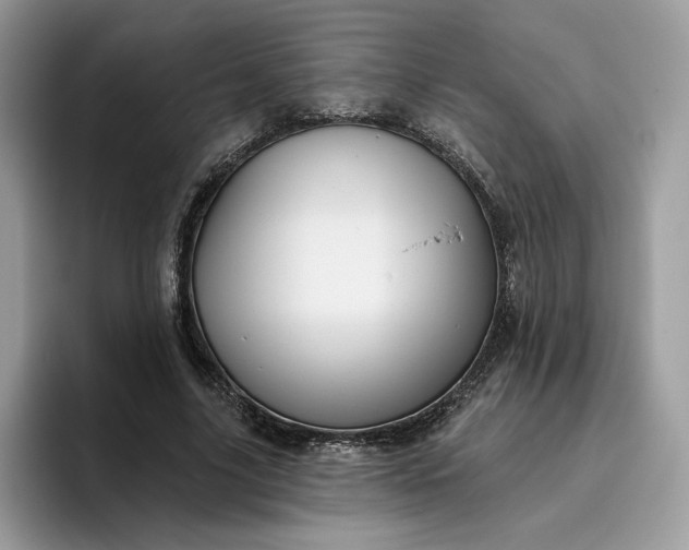 X0000095960635200801251151