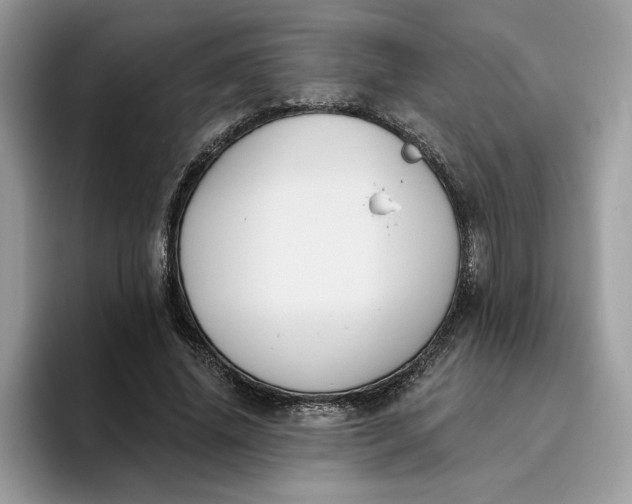 X0000095960636200801251151