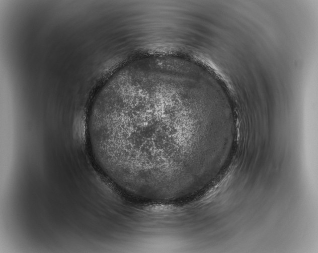 X0000095960637200801251151