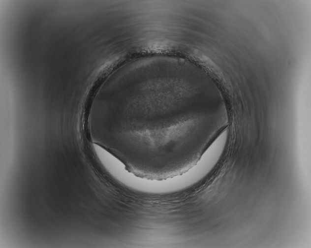 X0000095960640200801251151