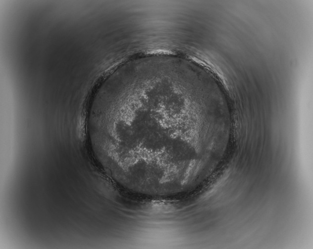 X0000095960641200801251151