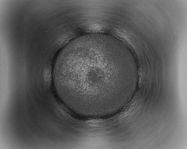 X0000095960642200801251151