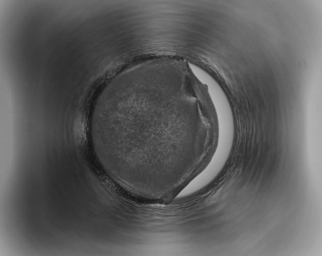 X0000095960643200801251151