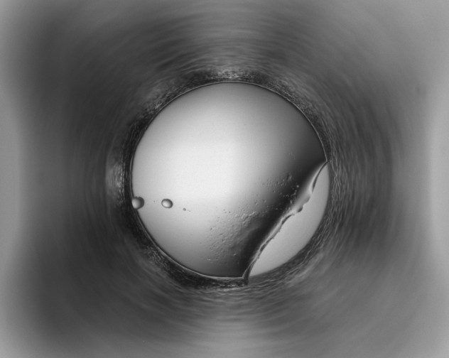 X0000095960646200801251151