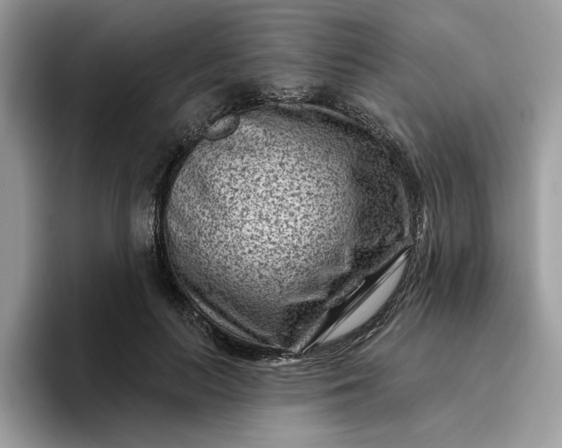 X0000095960647200801251151