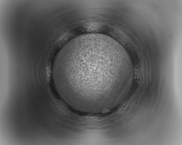 X0000095960648200801251151