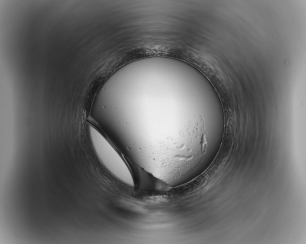 X0000095960649200801251151