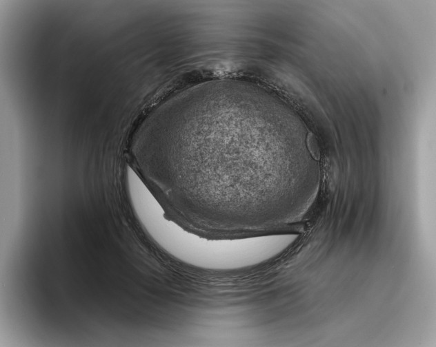 X0000095960650200801251151