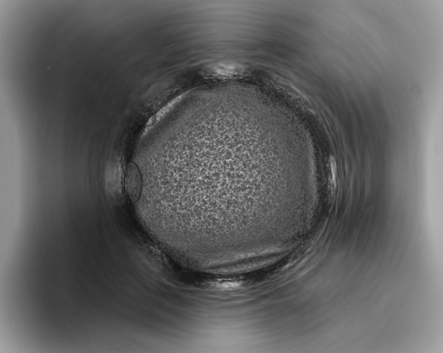 X0000095960651200801251151